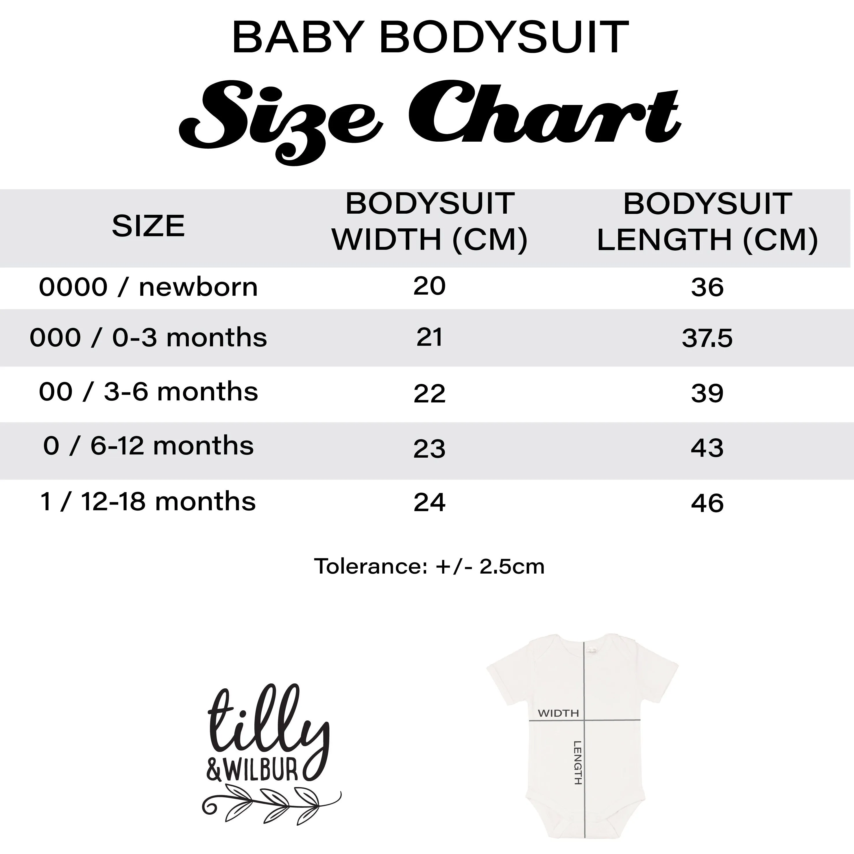 Baby Bear Bodysuit