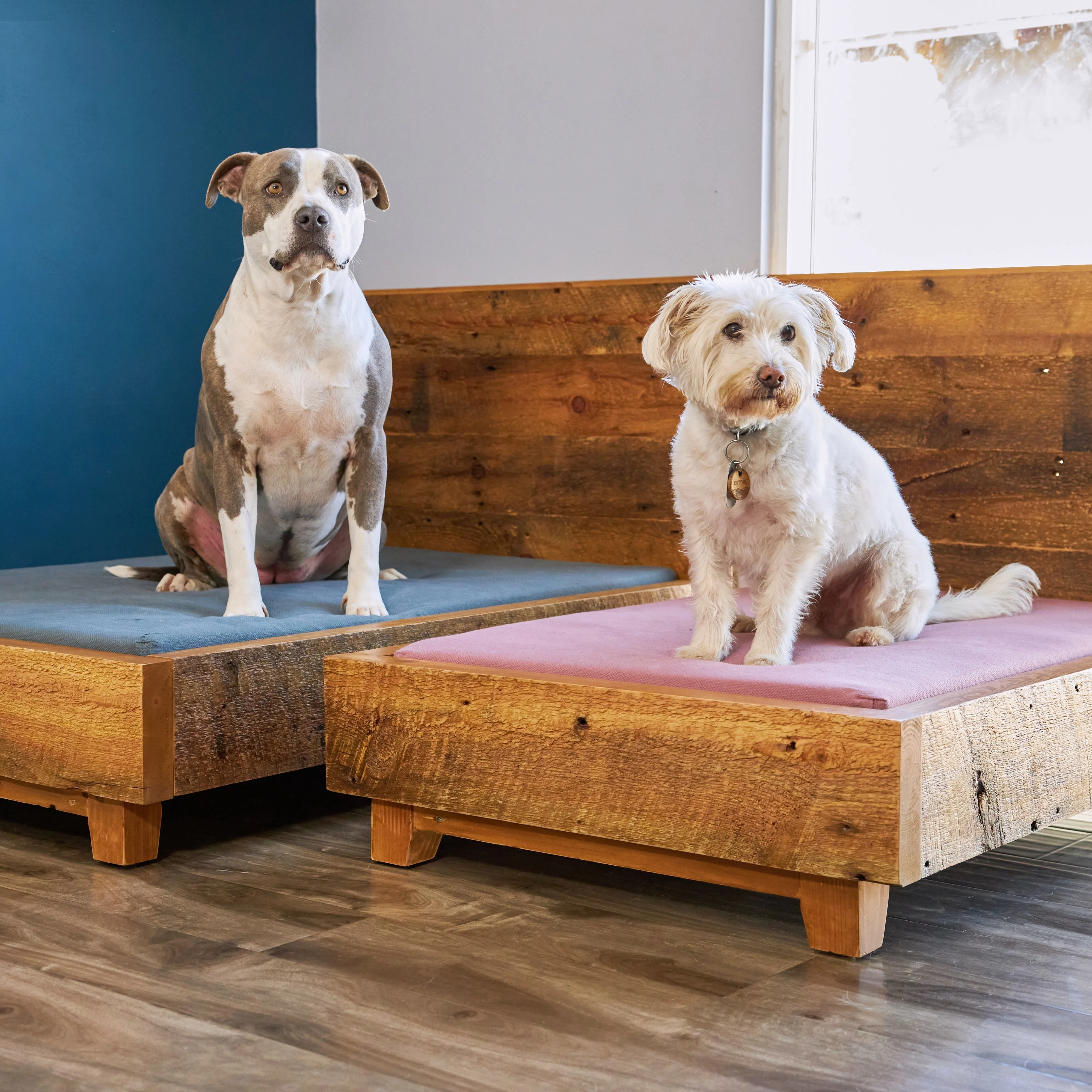 Dog Bed Frame