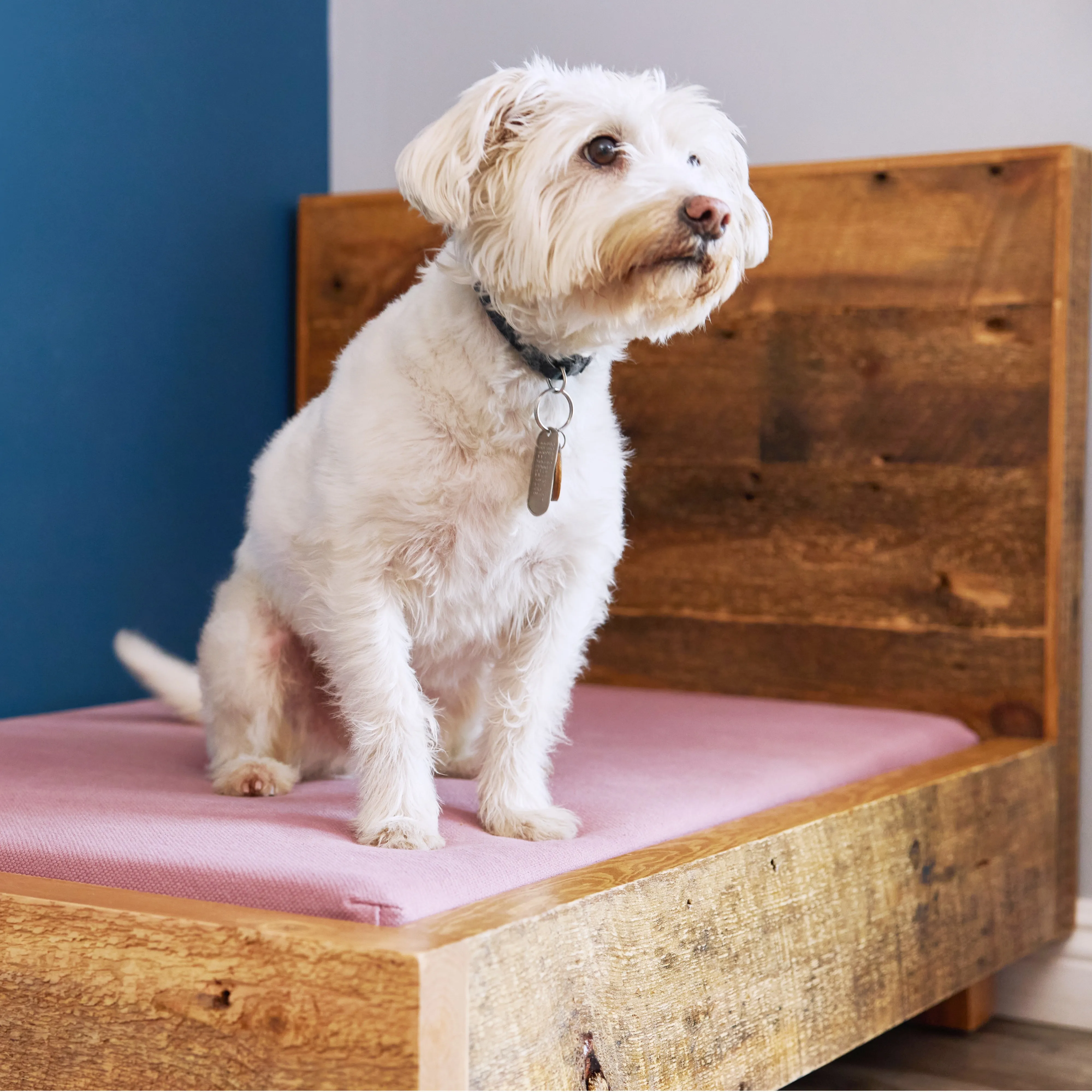 Dog Bed Frame