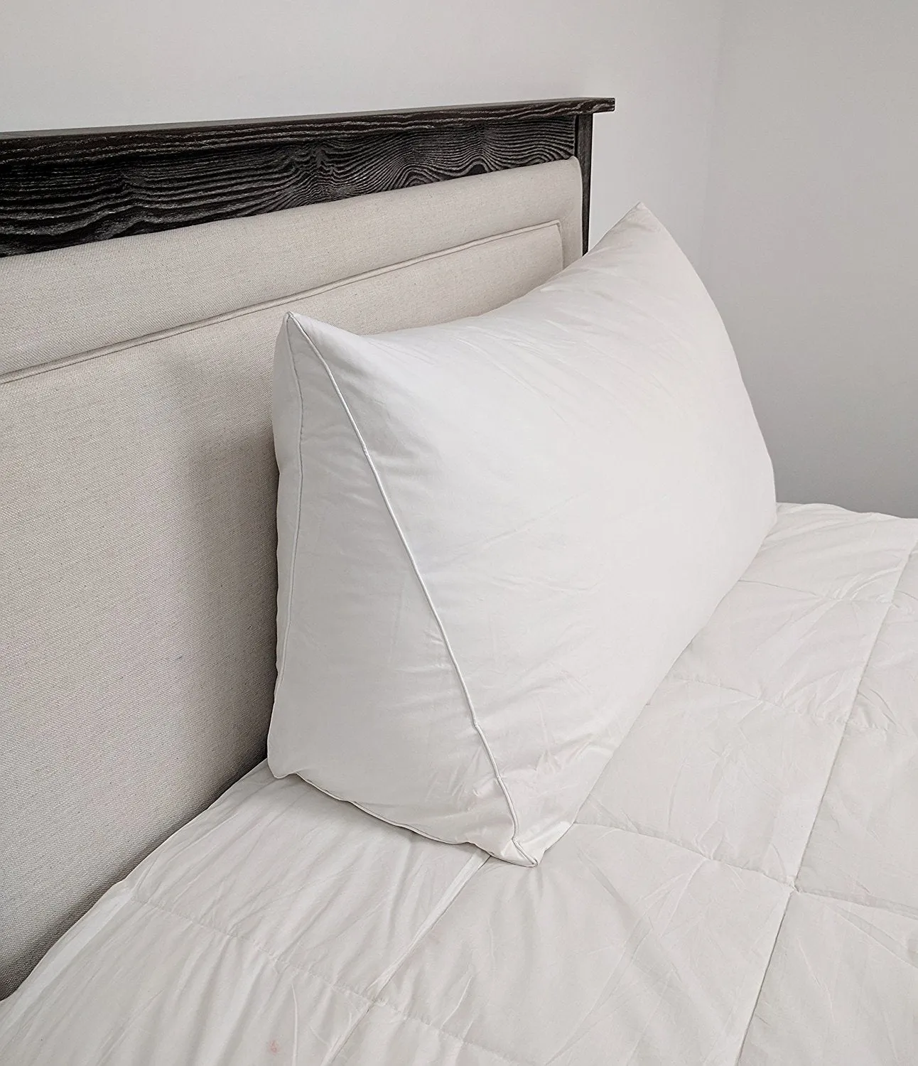 Pillowtex Reading Wedge Bed Pillow