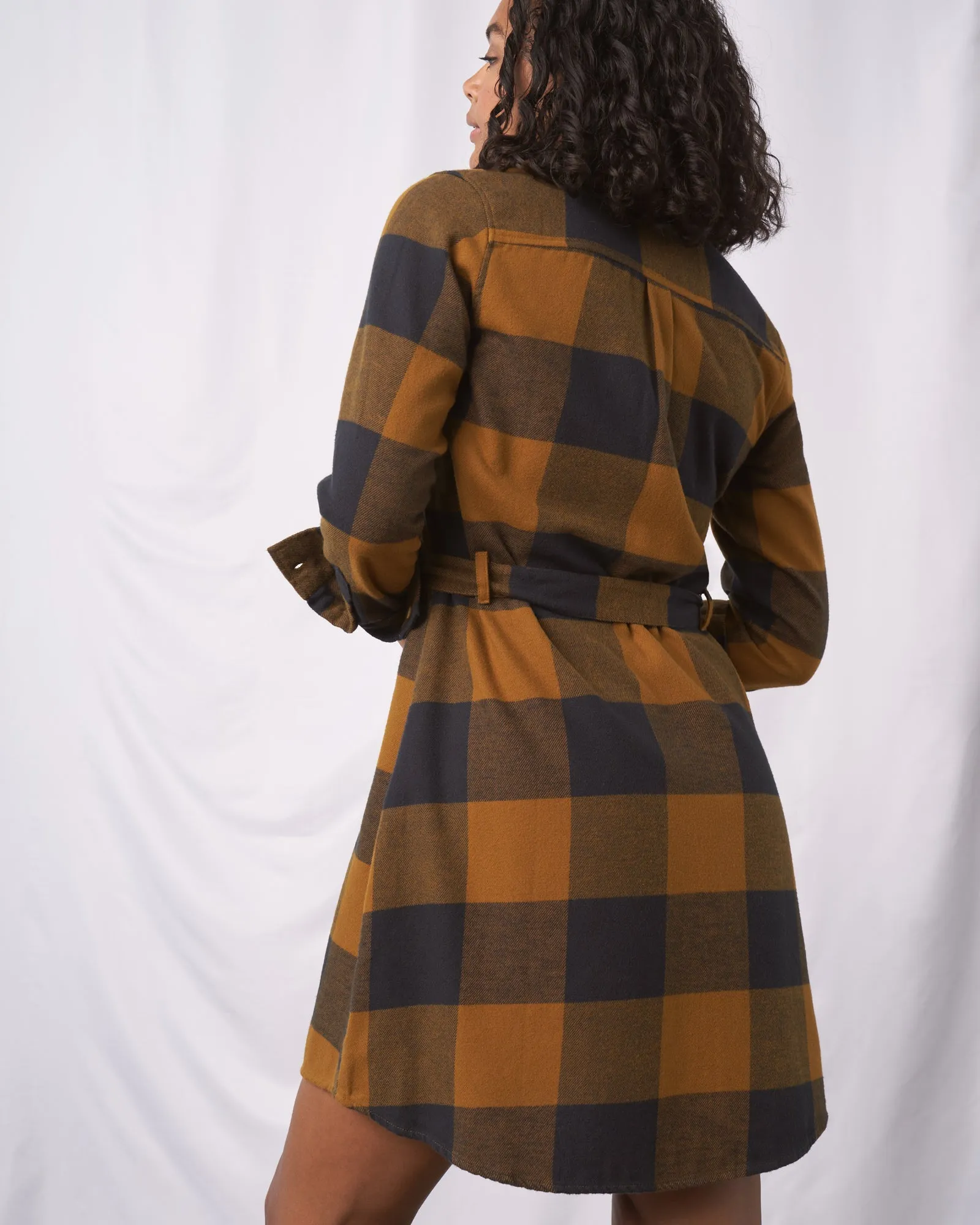 The Responsible Flannel Dress